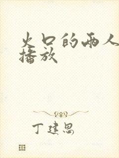火口的两人电影播放