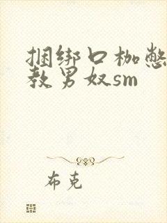 捆绑口枷憋尿调教男奴sm