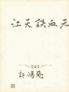 江天铁血元帅