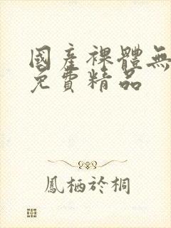 国产裸体无遮挡免费精品