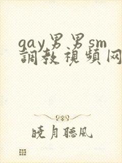 gay男男sm调教视频网站