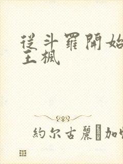 从斗罗开始打卡王枫