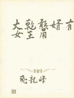大乾憨婿有几个女主角