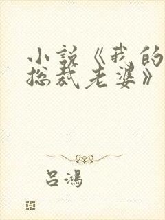小说《我的冷艳总裁老婆》