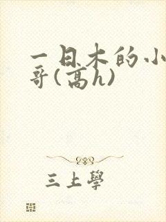 一日木的小说哥哥(高h)