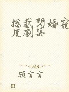 总裁闪婚宠妻无度剧集
