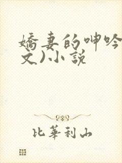 娇妻的呻吟(辣文)小说