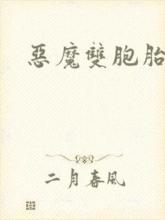 恶魔双胞胎