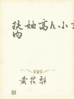 扶她高h小说全肉