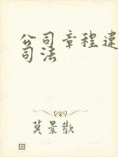 公司章程违反公司法