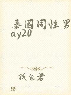 泰国同性男男gay20