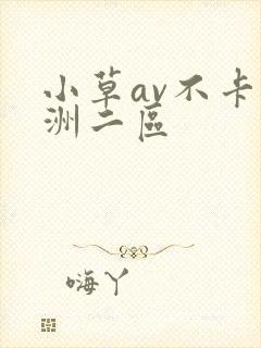 小草av不卡亚洲二区