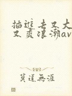 插进去又大又硬又爽浪潮av网站