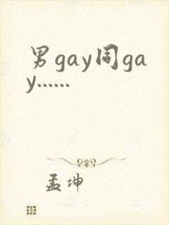 男gay同gay......封面