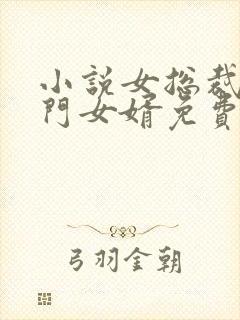 小说女总裁的上门女婿免费封面