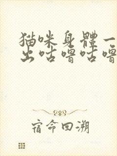 猫咪身体一直发出咕噜咕噜的声音封面