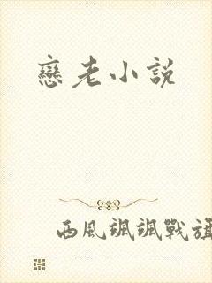 恋老小说