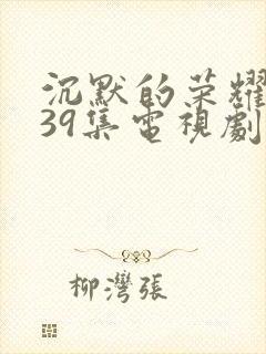沉默的荣耀1—39集电视剧免费播放