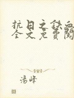 抗日之铁血英雄全文免费阅读