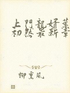 上门龙婿叶辰萧初然最新章节全文免费阅读