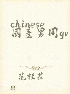 chinese国产男同gv封面
