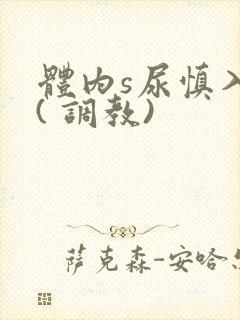 体内s尿慎入h( 调教)