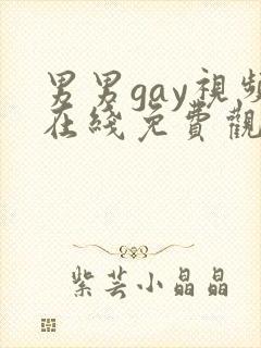 男男gay视频在线免费观看