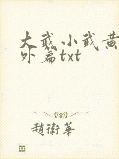 大武小武黄蓉番外篇txt封面