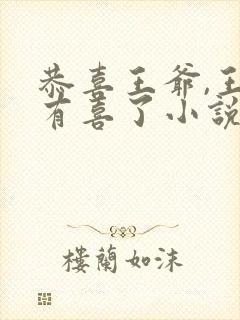 恭喜王爷,王妃有喜了小说全文免费阅读