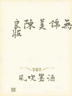 良陈美锦无删减版