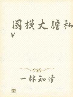 国模大胆私拍av