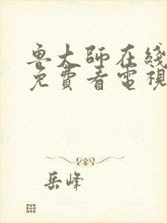 鲁大师在线高清免费看电视剧封面