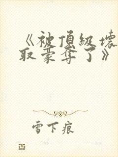 《被顶级坏种强取豪夺了》封面