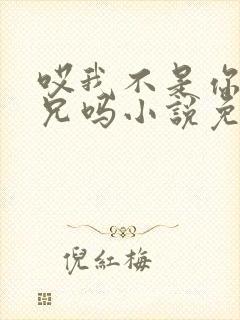 哎我不是你们养兄吗小说免费阅读