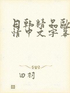 日韩精品欧美激情中文字幕在线封面