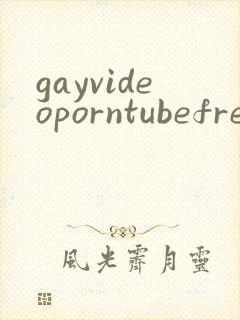 gayvideoporntubefree