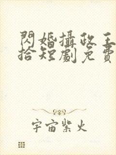 闪婚摄政王欠收拾短剧免费看