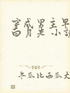 穿成男主早死的白月光 小说