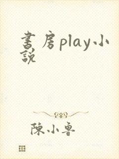 书房play小说