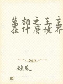 万相之王主角现在什么境界