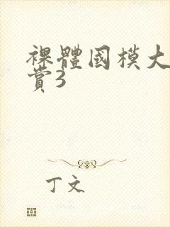 裸体国模大n欣赏3