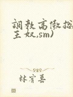 调教高傲总裁(主奴,sm)