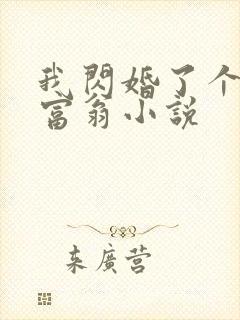 我闪婚了个亿万富翁小说
