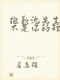 抱歉沈先生孩子不是你的短剧免费观看全集