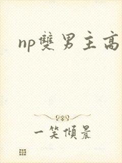 np双男主高h封面