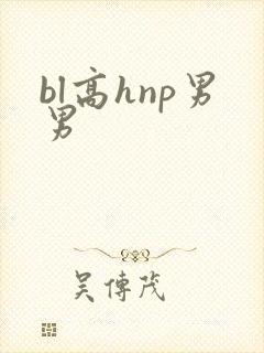 bl高hnp男男