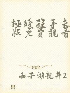 极线杀手未删减版免费观看完整版封面