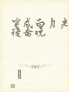 穿成白月光替身后乔晚封面