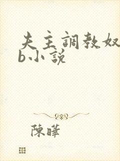 夫主调教奴妻扇b小说封面
