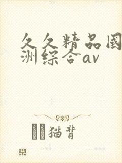 久久精品国产亚洲综合av封面